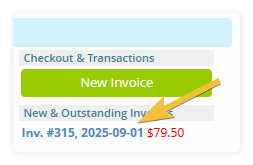 How to see past invoices in the Express Checkout.  Shows a link that can be clicked on in the Express checkout to show past invoices.